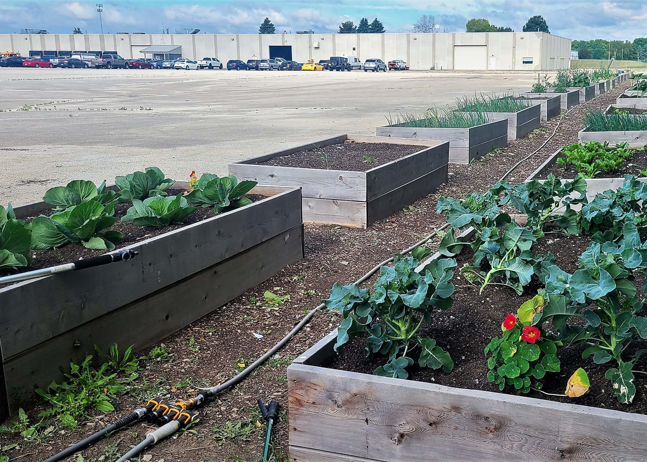 RRP Garden