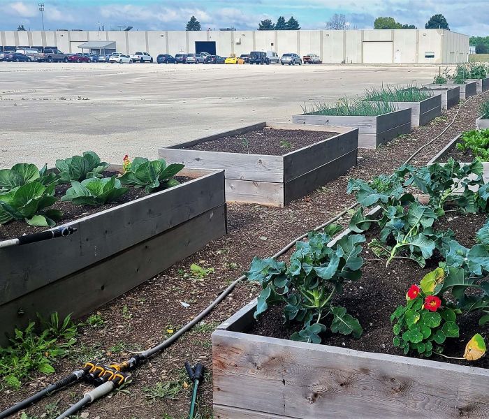 RRP Garden